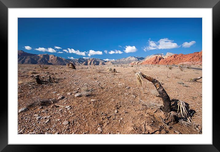 Red Rock Canyon Framed Mounted Print by Andy Barker
