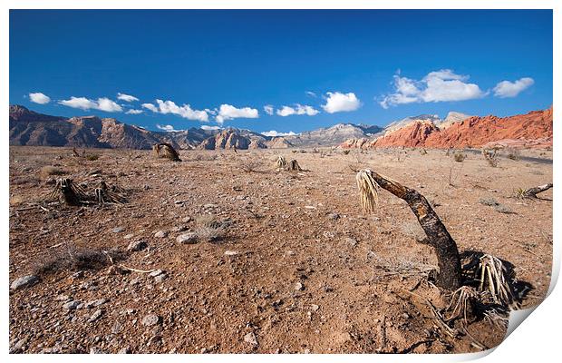 Red Rock Canyon Print by Andy Barker