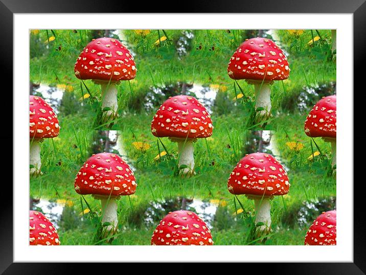 Mushrooms Framed Mounted Print by Matthew Lacey