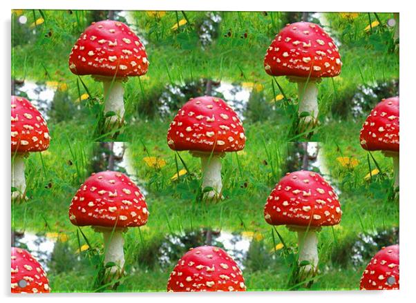 Mushrooms Acrylic by Matthew Lacey