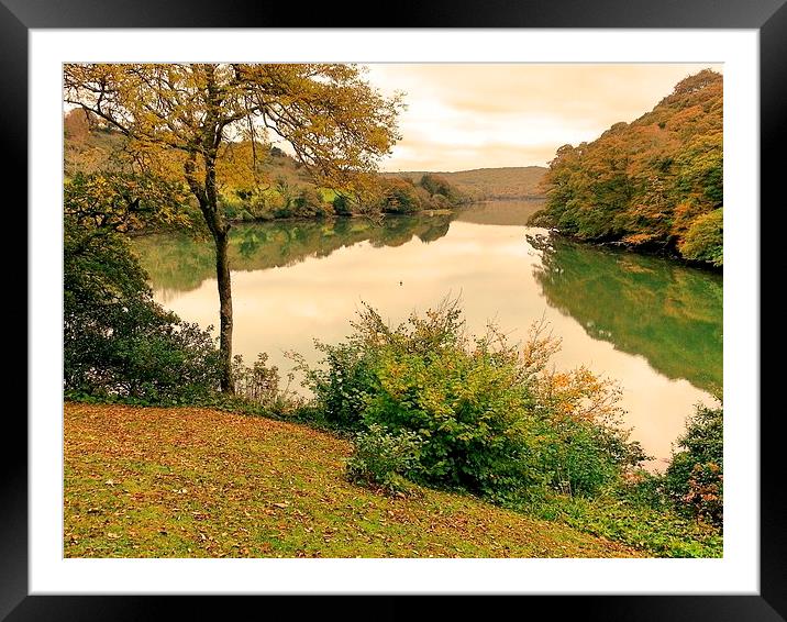 Reflections on the River Fal. Framed Mounted Print by Lisa PB