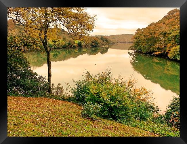 Reflections on the River Fal. Framed Print by Lisa PB