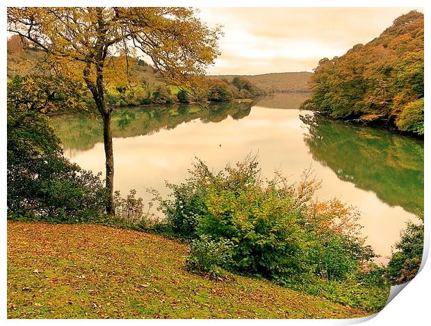 Reflections on the River Fal. Print by Lisa PB