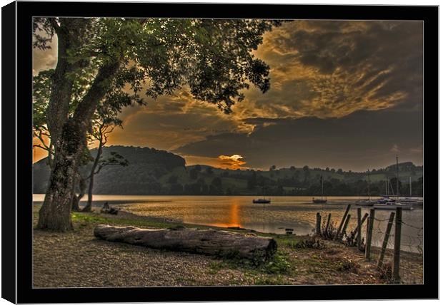 The shoreline of Ullswater Canvas Print by CHRIS ANDERSON