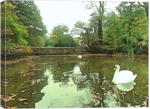 Swans on the River Fal. Canvas Print by Lisa PB