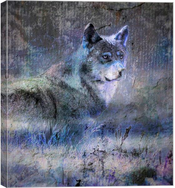 Whos afraid of the big bad wolf ? Canvas Print by Alan Mattison
