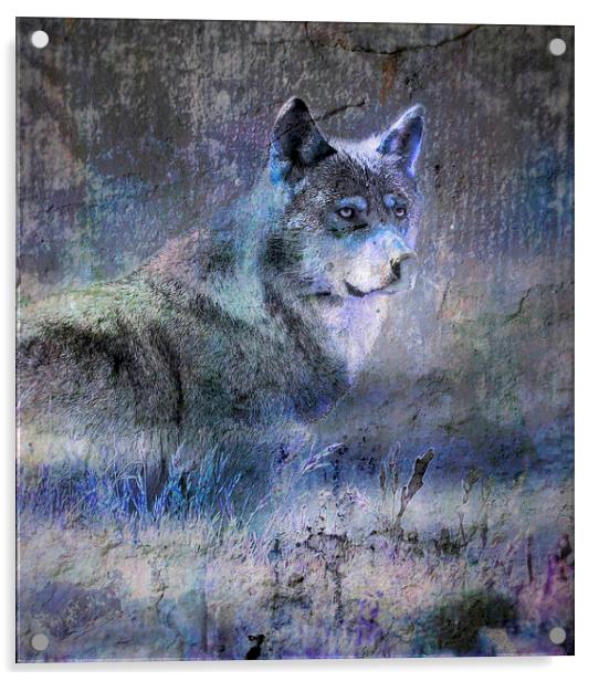 Whos afraid of the big bad wolf ? Acrylic by Alan Mattison