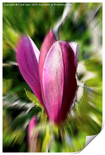 Colourful Spring Magnolia Print by Frank Irwin