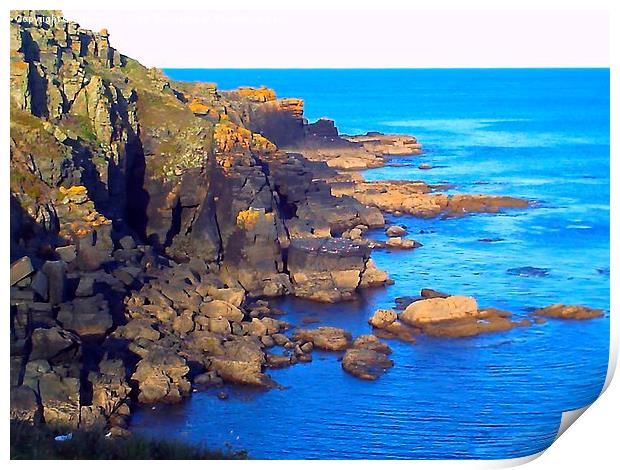 Rocky View at Lizard Point Print by Lisa PB