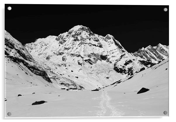 Annapurna South 7219m Acrylic by Aidan Moran