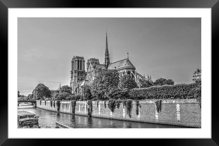 Paris Notre Dame Cathedral Framed Mounted Print by Steven Jasper
