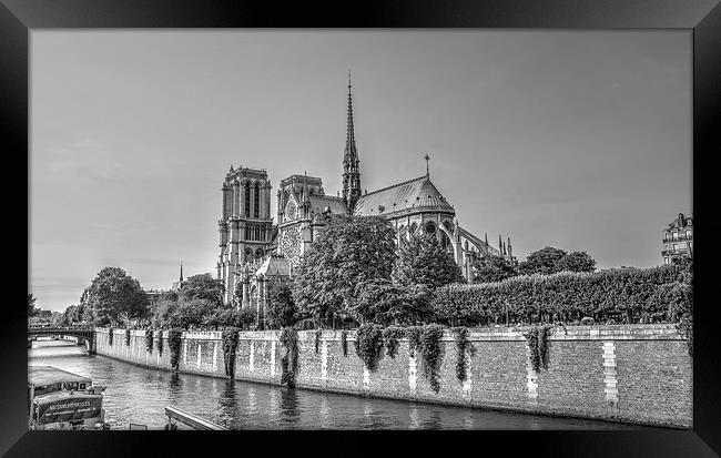 Paris Notre Dame Cathedral Framed Print by Steven Jasper
