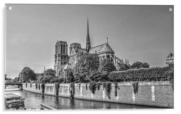 Paris Notre Dame Cathedral Acrylic by Steven Jasper