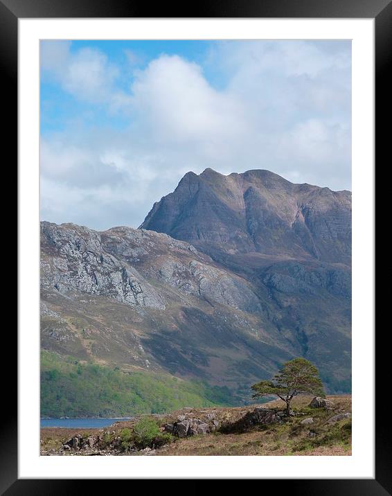 Slioch and the pine tree Framed Mounted Print by Jennifer Henderson