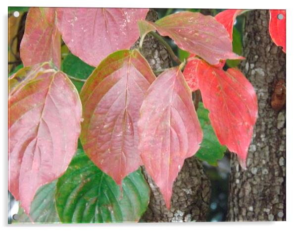 Autumn Foliage Acrylic by Martha Crum