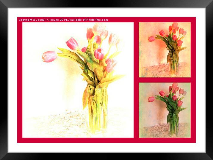 Tulip Tryptich Framed Mounted Print by Jacqui Kilcoyne