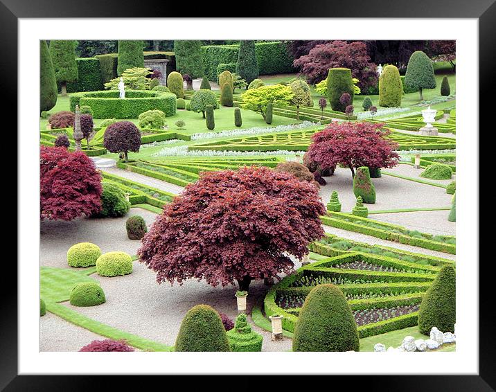 Gardens of Drummond Castle Framed Mounted Print by Ruth Hallam