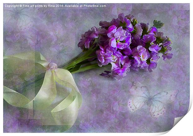 Pretty lilacs Print by Fine art by Rina