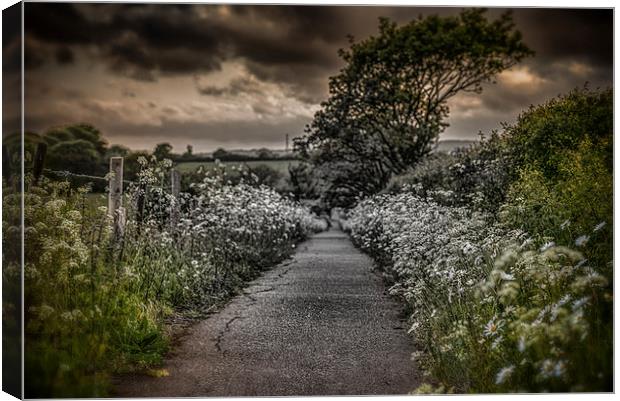 The Path to Despair.... Canvas Print by Ian Johnston  LRPS