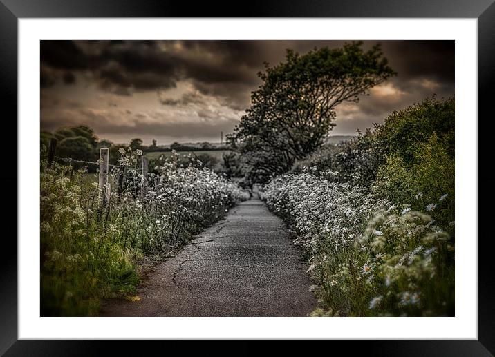 The Path to Despair.... Framed Mounted Print by Ian Johnston  LRPS