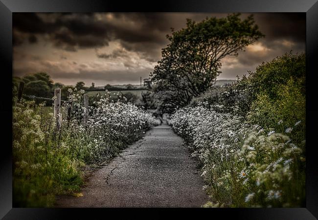 The Path to Despair.... Framed Print by Ian Johnston  LRPS