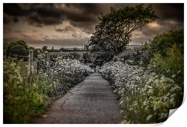 The Path to Despair.... Print by Ian Johnston  LRPS