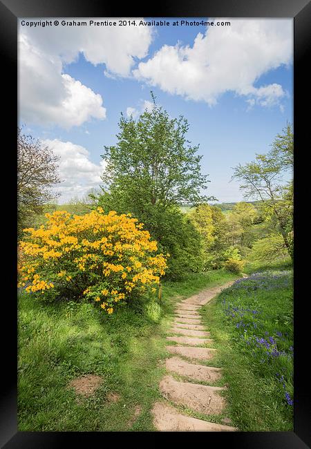 Spring Path Framed Print by Graham Prentice