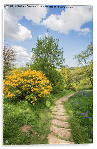 Spring Path Acrylic by Graham Prentice