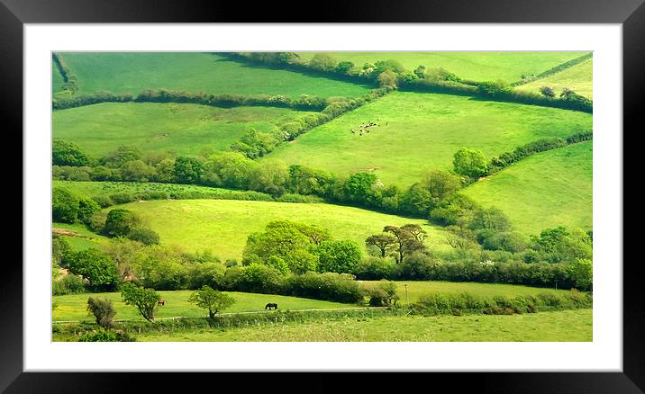 Pastures und hedges, England Framed Mounted Print by Bernd Tschakert