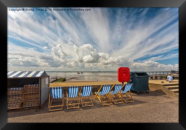 Six empty deckchairs at Southend Framed Print by Sheila Smart