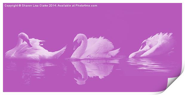 Swans Print by Sharon Lisa Clarke