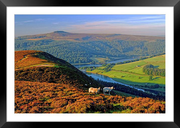 Ladybower Lookout Framed Mounted Print by Darren Galpin