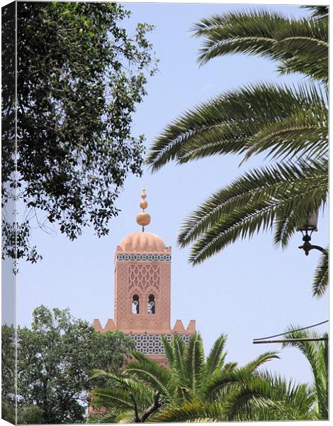 Mosque 8 Canvas Print by Ruth Hallam