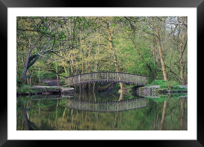 Footbridge Reflections Framed Mounted Print by David Tinsley
