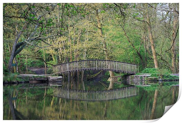 Footbridge Reflections Print by David Tinsley
