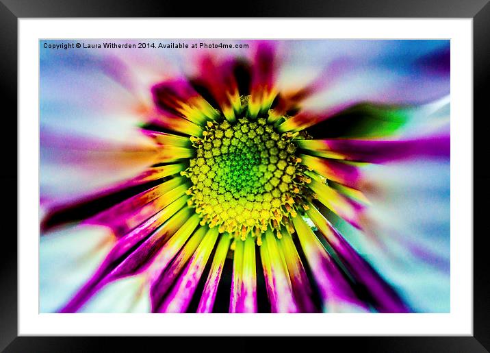 Flower Power Framed Mounted Print by Laura Witherden