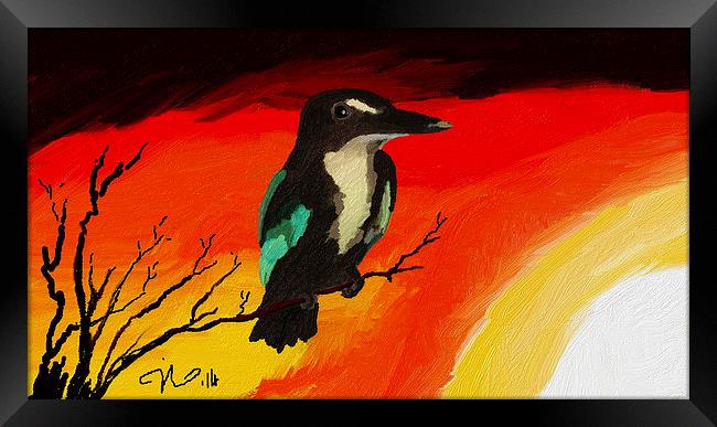 Kingfisher Framed Print by Hassan Najmy