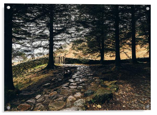 Stone path in woodland at Blea Tarn. Acrylic by Liam Grant