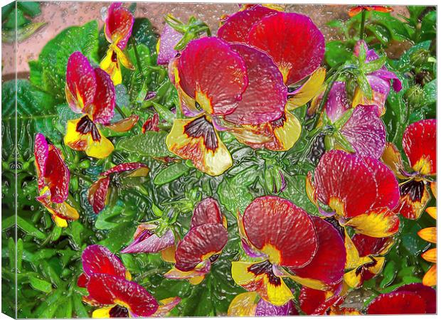 Plastic Pansies Canvas Print by Robert Gipson