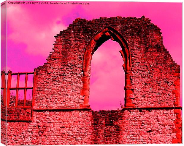 Dudley Castle, Arch Window Canvas Print by Lisa PB
