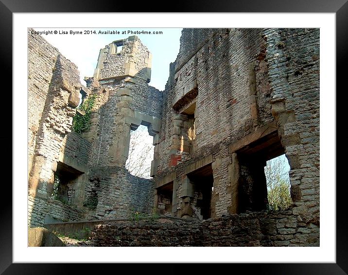Dudley Castle Framed Mounted Print by Lisa PB