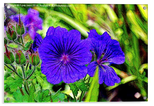 Johnson’s Blue in full bloom Acrylic by Frank Irwin