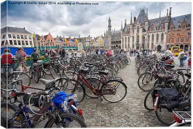 Bicycles in Brugge Canvas Print by Sheila Smart