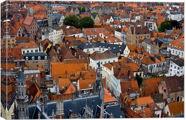 Brugge Canvas Print by Sheila Smart