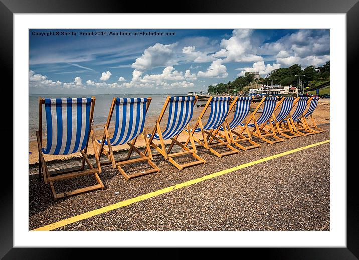 Empty deckchairs Framed Mounted Print by Sheila Smart
