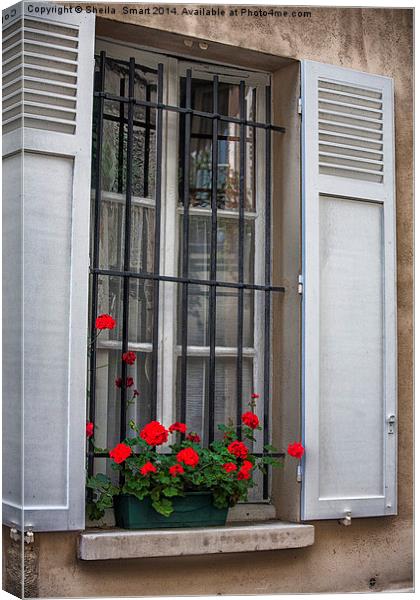 Geraniums in Paris window box Canvas Print by Sheila Smart