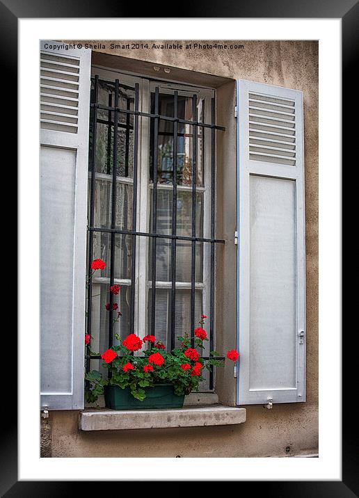 Geraniums in Paris window box Framed Mounted Print by Sheila Smart