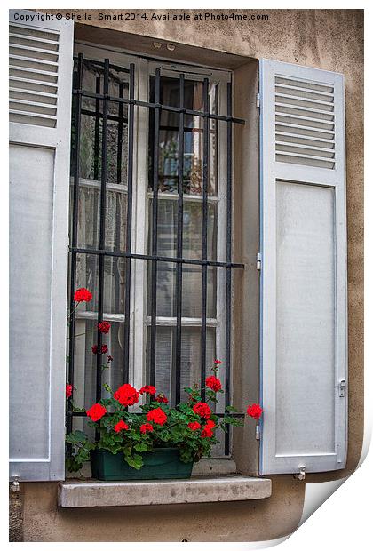 Geraniums in Paris window box Print by Sheila Smart
