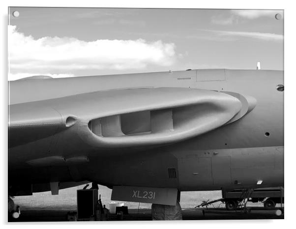Victor XL231 Lusty Lindy Acrylic by Robert Gipson
