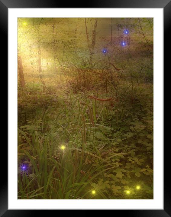 Dancing Lights. Framed Mounted Print by Heather Goodwin